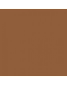 ESMALTE AL AGUA AQUALAC BRILLANTE (OFERTA) COLOR S 5030-Y40R