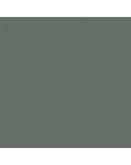 ESMALTE AL AGUA AQUALAC BRILLANTE (OFERTA) COLOR S 6005-G20Y