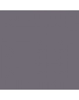 ESMALTE AL AGUA AQUALAC BRILLANTE (OFERTA) COLOR S 6005-R50B