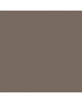 ESMALTE AL AGUA AQUALAC BRILLANTE (OFERTA) COLOR S 6005-Y50R