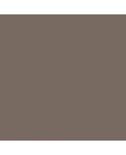 ESMALTE AL AGUA AQUALAC BRILLANTE (OFERTA) COLOR S 6005-Y50R