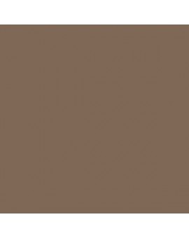 ESMALTE AL AGUA AQUALAC BRILLANTE (OFERTA) COLOR S 6010-Y30R