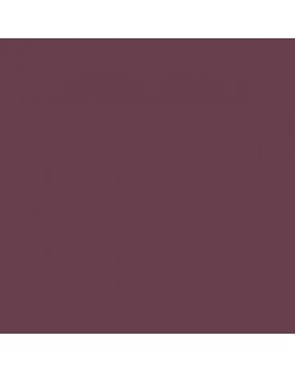 ESMALTE AL AGUA AQUALAC BRILLANTE (OFERTA) COLOR S 6020-R20B