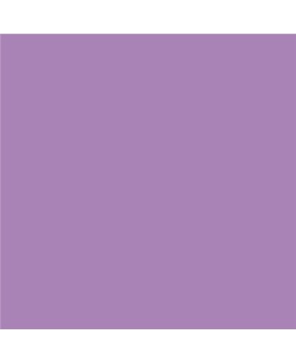 PLASTICO JUNOPROF MATE CALIDAD SUPERIOR (OFERTA) COLOR MD 163