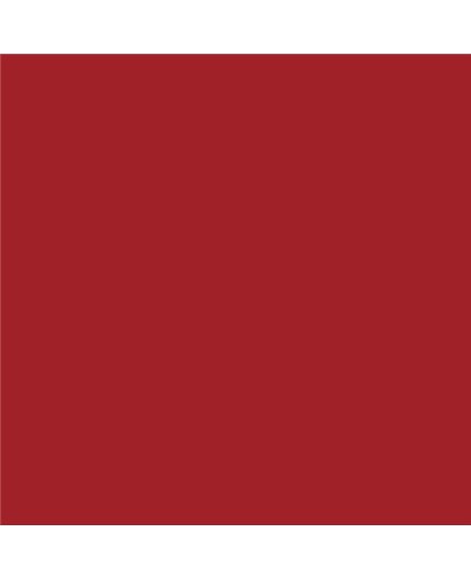 PLASTICO JUNOPROF MATE CALIDAD SUPERIOR (OFERTA) COLOR RAL 3001