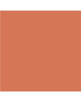 PLASTICO JUNOPROF MATE CALIDAD SUPERIOR (OFERTA) COLOR RAL 3022