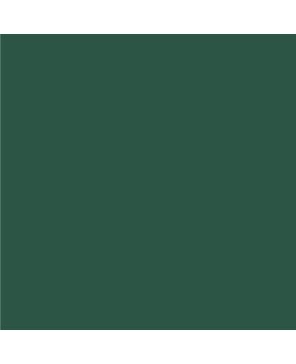 PLASTICO JUNOPROF MATE CALIDAD SUPERIOR (OFERTA) COLOR RAL 6028