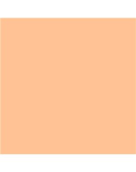 PLASTICO JUNOPROF MATE CALIDAD SUPERIOR (OFERTA) COLOR S 0530-Y50R