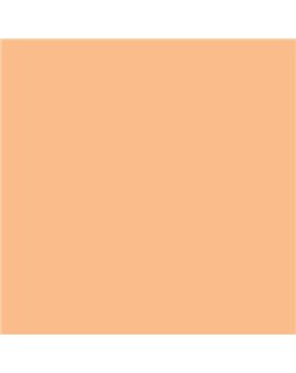 PLASTICO JUNOPROF MATE CALIDAD SUPERIOR (OFERTA) COLOR S 1030-Y40R