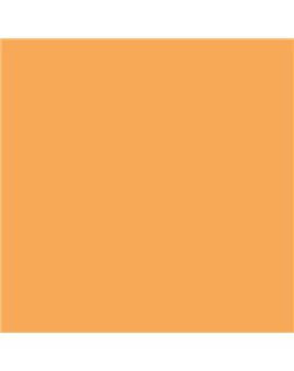 PLASTICO JUNOPROF MATE CALIDAD SUPERIOR (OFERTA) COLOR S 1050-Y30R