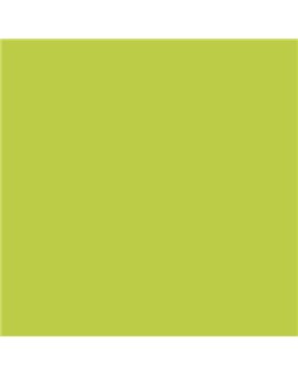 PLASTICO JUNOPROF MATE CALIDAD SUPERIOR (OFERTA) COLOR S 1060-G60Y