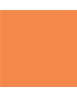 PLASTICO JUNOPROF MATE CALIDAD SUPERIOR (OFERTA) COLOR S 1060-Y50R