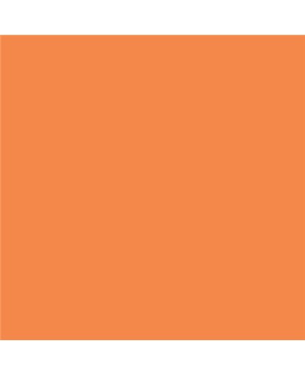 PLASTICO JUNOPROF MATE CALIDAD SUPERIOR (OFERTA) COLOR S 1060-Y50R