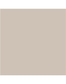PLASTICO JUNOPROF MATE CALIDAD SUPERIOR (OFERTA) COLOR S 2005-Y60R