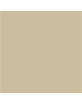 PLASTICO JUNOPROF MATE CALIDAD SUPERIOR (OFERTA) COLOR S 2010-Y10R