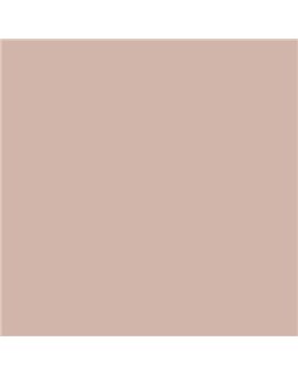 PLASTICO JUNOPROF MATE CALIDAD SUPERIOR (OFERTA) COLOR S 2010-Y70R