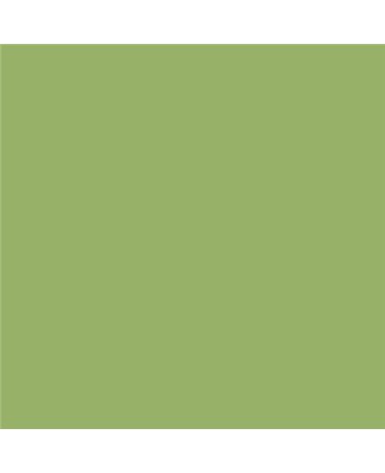 PLASTICO JUNOPROF MATE CALIDAD SUPERIOR (OFERTA) COLOR S 2040-G40Y