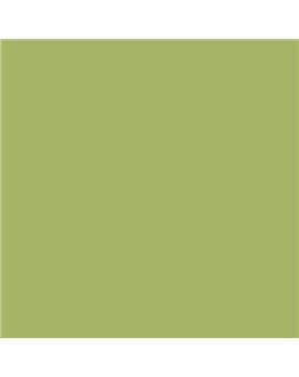 PLASTICO JUNOPROF MATE CALIDAD SUPERIOR (OFERTA) COLOR S 2040-G50Y