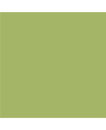PLASTICO JUNOPROF MATE CALIDAD SUPERIOR (OFERTA) COLOR S 2040-G50Y