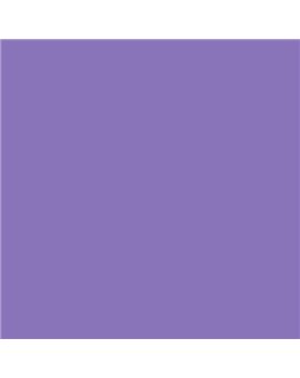 PLASTICO JUNOPROF MATE CALIDAD SUPERIOR (OFERTA) COLOR S 2050-R60B