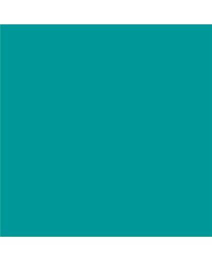 PLASTICO JUNOPROF MATE CALIDAD SUPERIOR (OFERTA) COLOR S 2060-B50G