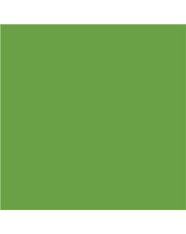 PLASTICO JUNOPROF MATE CALIDAD SUPERIOR (OFERTA) COLOR S 2060-G30Y