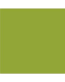 PLASTICO JUNOPROF MATE CALIDAD SUPERIOR (OFERTA) COLOR S 2060-G50Y