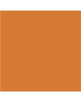 PLASTICO JUNOPROF MATE CALIDAD SUPERIOR (OFERTA) COLOR S 2060-Y40R-GL