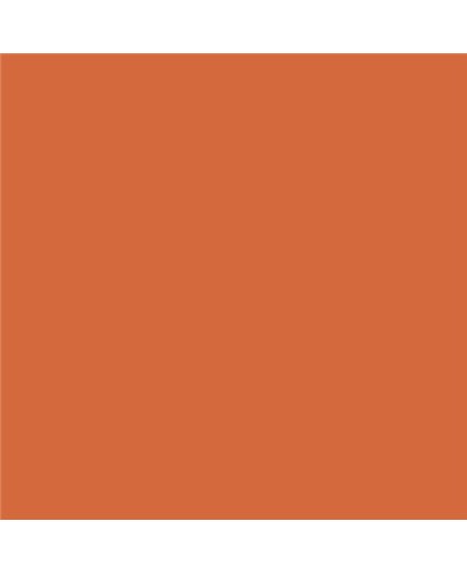 PLASTICO JUNOPROF MATE CALIDAD SUPERIOR (OFERTA) COLOR S 2060-Y60R-GL