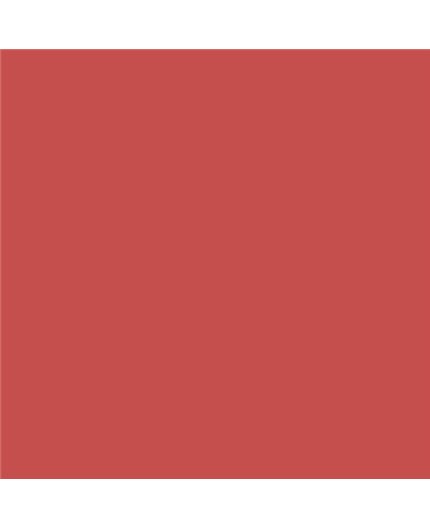 PLASTICO JUNOPROF MATE CALIDAD SUPERIOR (OFERTA) COLOR S 2060-Y90R