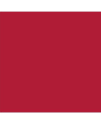 PLASTICO JUNOPROF MATE CALIDAD SUPERIOR (OFERTA) COLOR S 2070-R