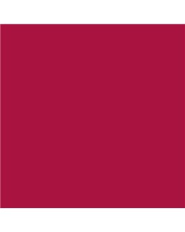PLASTICO JUNOPROF MATE CALIDAD SUPERIOR (OFERTA) COLOR S 2070-R10B