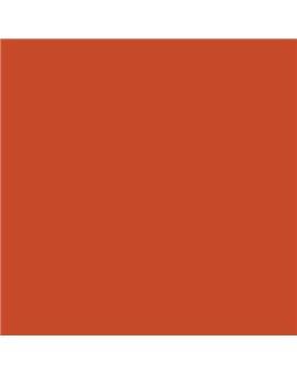 PLASTICO JUNOPROF MATE CALIDAD SUPERIOR (OFERTA) COLOR S 2070-Y70R-GL