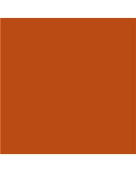 PLASTICO JUNOPROF MATE CALIDAD SUPERIOR (OFERTA) COLOR S 2570-Y60R