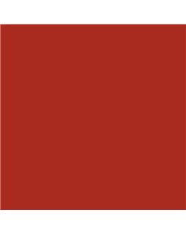 PLASTICO JUNOPROF MATE CALIDAD SUPERIOR (OFERTA) COLOR S 2570-Y80R