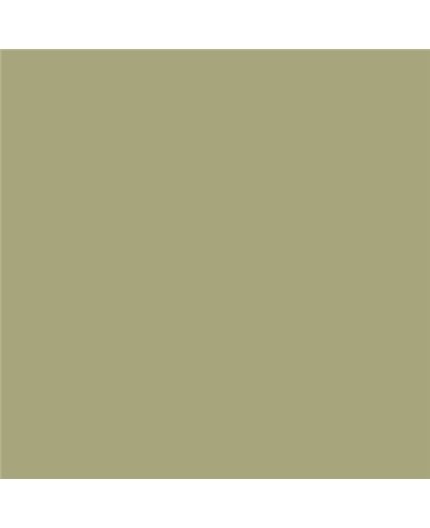 PLASTICO JUNOPROF MATE CALIDAD SUPERIOR (OFERTA) COLOR S 3020-G70Y