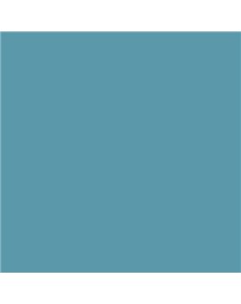 PLASTICO JUNOPROF MATE CALIDAD SUPERIOR (OFERTA) COLOR S 3030-B10G