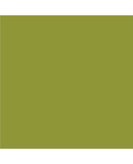 PLASTICO JUNOPROF MATE CALIDAD SUPERIOR (OFERTA) COLOR S 3050-G60Y
