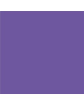 PLASTICO JUNOPROF MATE CALIDAD SUPERIOR (OFERTA) COLOR S 3050-R60B