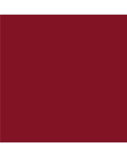 PLASTICO JUNOPROF MATE CALIDAD SUPERIOR (OFERTA) COLOR S 3560-R