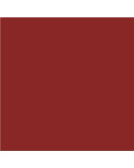 PLASTICO JUNOPROF MATE CALIDAD SUPERIOR (OFERTA) COLOR S 3560-Y90R