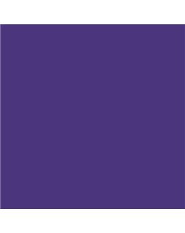 PLASTICO JUNOPROF MATE CALIDAD SUPERIOR (OFERTA) COLOR S 4050-R60B