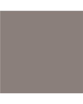 PLASTICO JUNOPROF MATE CALIDAD SUPERIOR (OFERTA) COLOR S 5005-Y80R