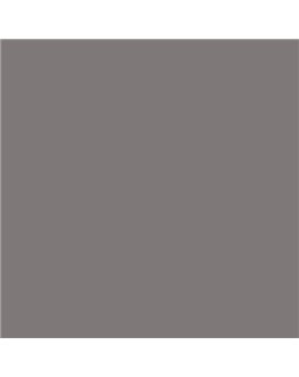 PLASTICO JUNOPROF MATE CALIDAD SUPERIOR (OFERTA) COLOR S 5502-R