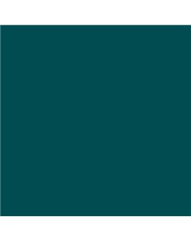PLASTICO JUNOPROF MATE CALIDAD SUPERIOR (OFERTA) COLOR S 5540-B40G