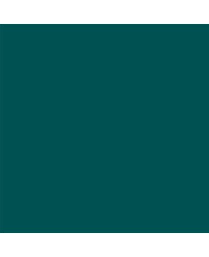 PLASTICO JUNOPROF MATE CALIDAD SUPERIOR (OFERTA) COLOR S 5540-B50G
