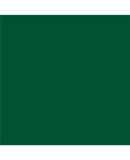 PLASTICO JUNOPROF MATE CALIDAD SUPERIOR (OFERTA) COLOR S 5540-G