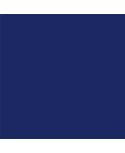 PLASTICO JUNOPROF MATE CALIDAD SUPERIOR (OFERTA) COLOR S 5540-R70B