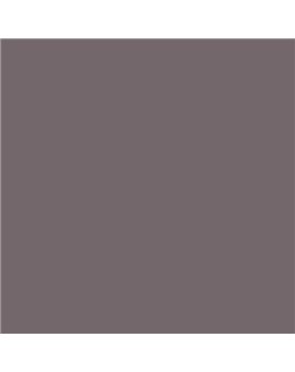 PLASTICO JUNOPROF MATE CALIDAD SUPERIOR (OFERTA) COLOR S 6005-R20B