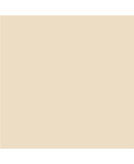 PLASTICO JUNOPROF MATE CALIDAD SUPERIOR (OFERTA) COLOR SV 099